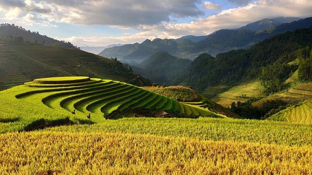 Irish farmer in green fields holding freshly harvested organic vegetables with rolling hills in background
